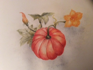 Dorothy, Pumpkin, watercolour.JPG